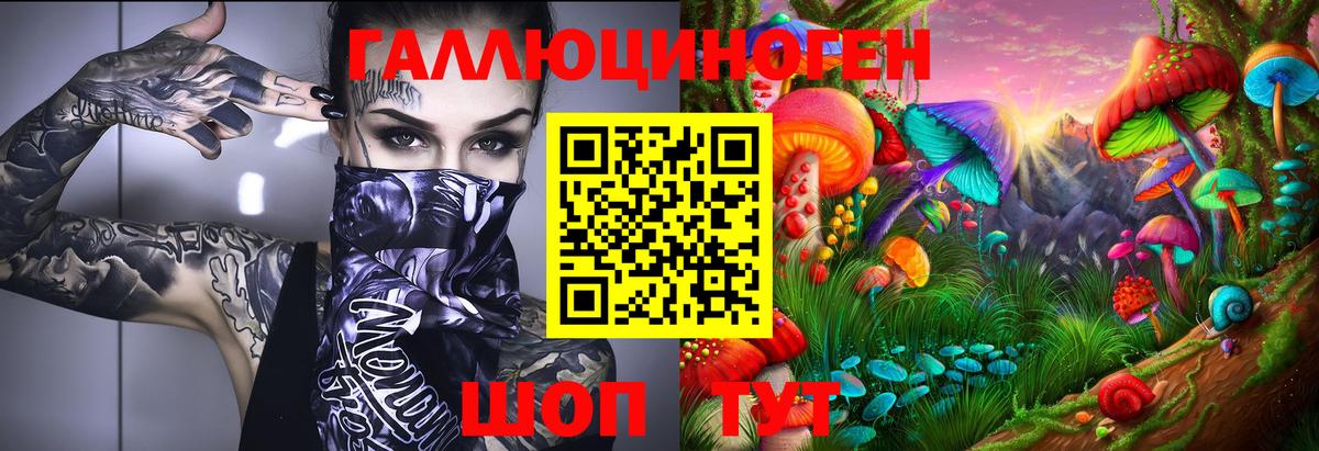 Псилоцибиновые грибы мицелий  Вход с VPN  Железногорск 